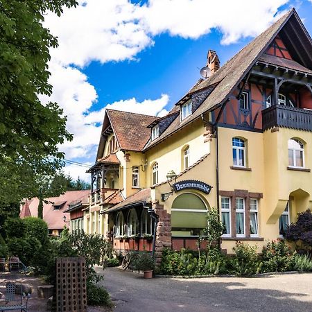 Hotel Dammenmuehle Lahr  Exterior photo