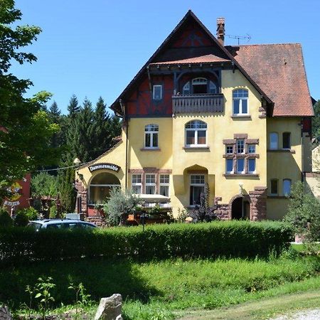 Hotel Dammenmuehle Lahr  Exterior photo