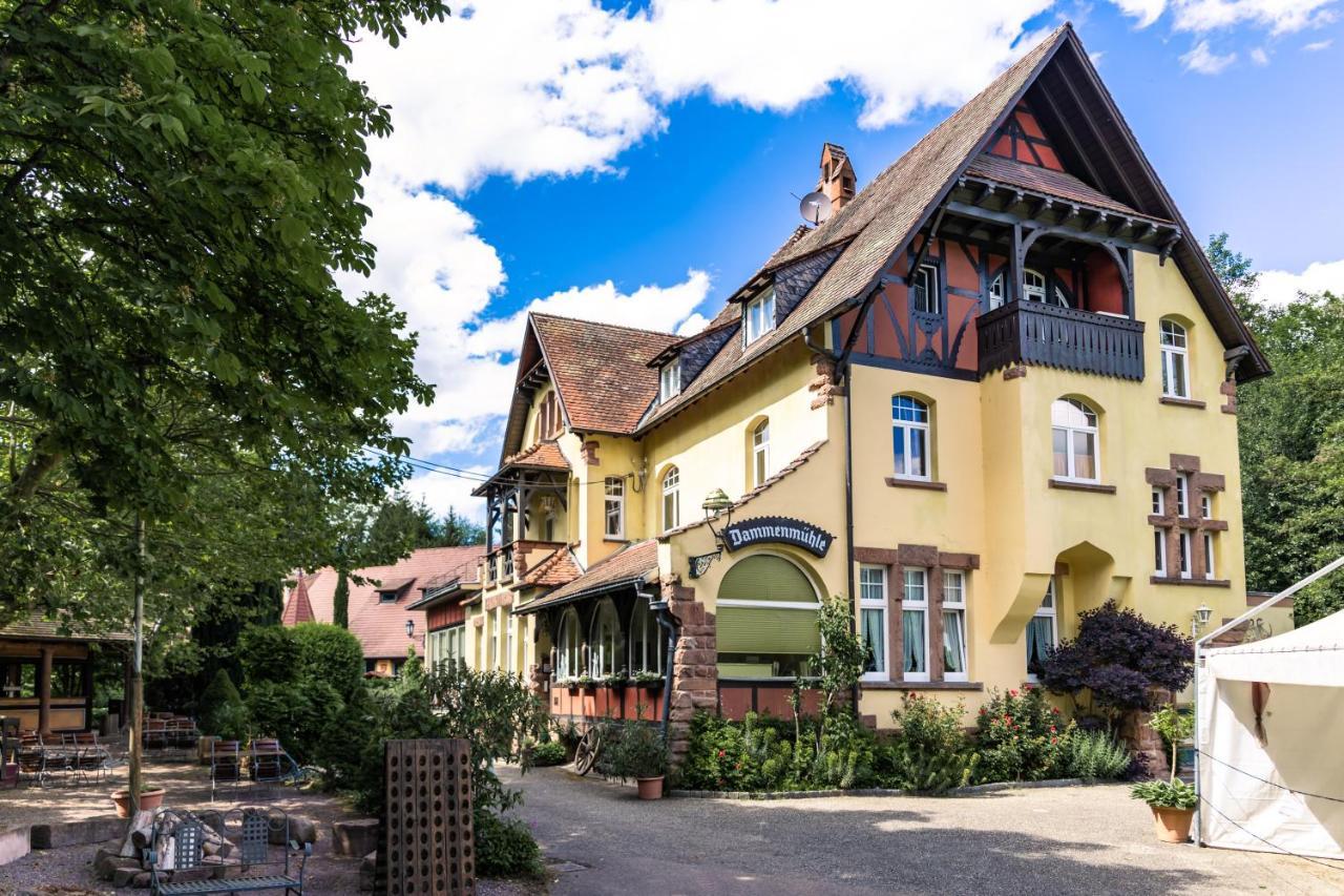 Hotel Dammenmuehle Lahr  Exterior photo