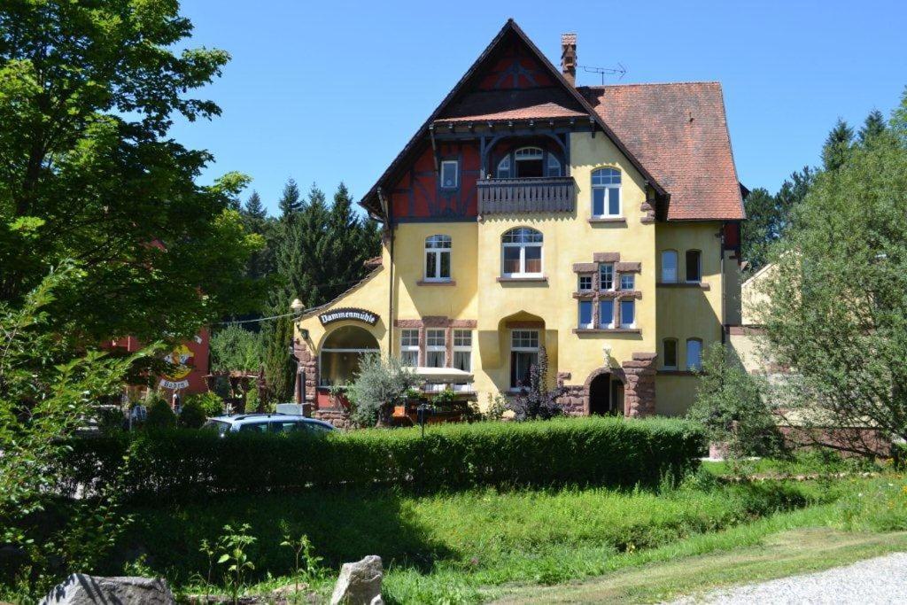 Hotel Dammenmuehle Lahr  Exterior photo